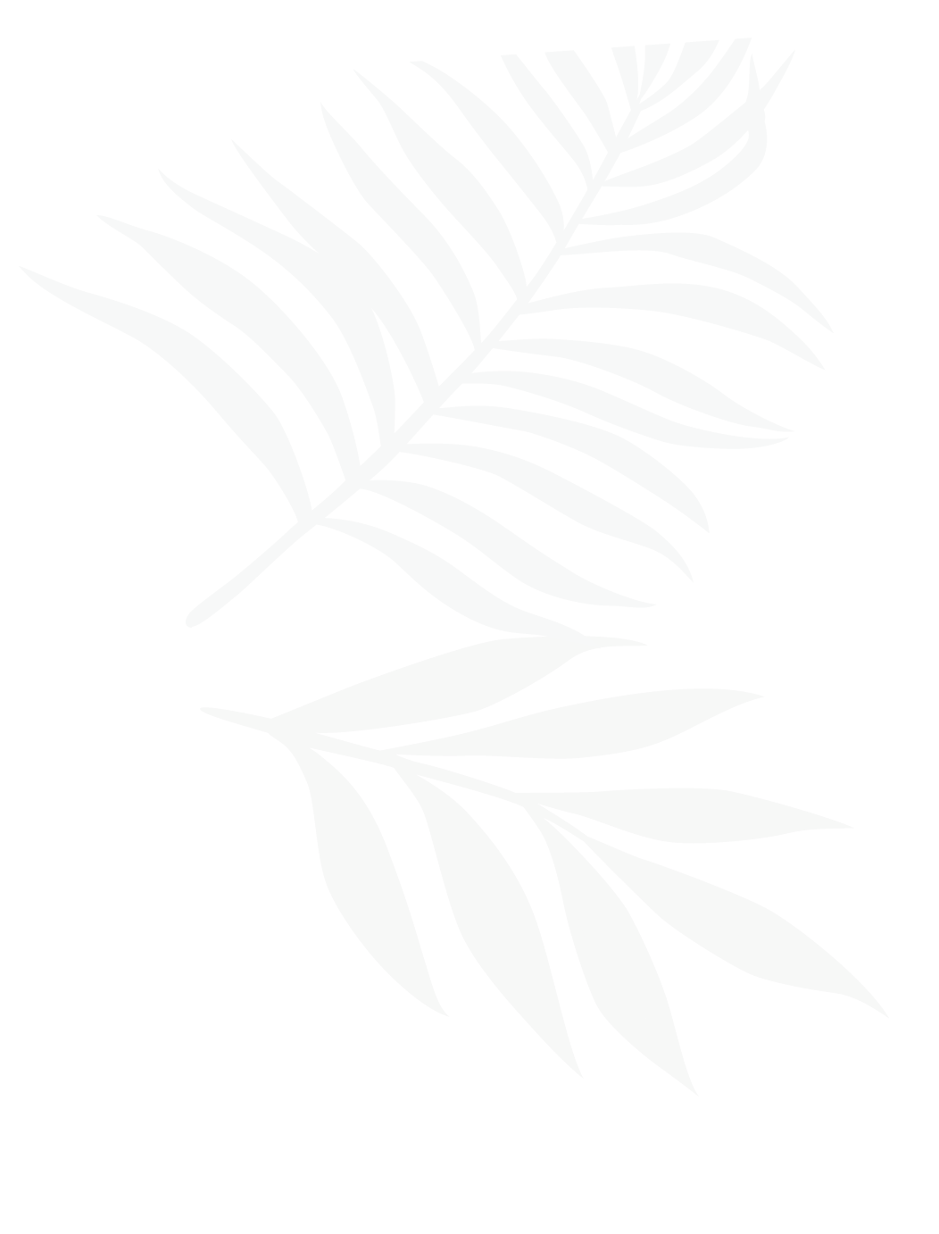 illustration-feuille.jpg Illustration de feuilles d'une plante.
